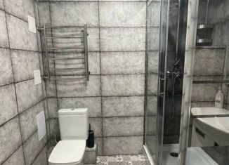 Сдам в аренду 1-ком. квартиру, 44.2 м2, Мурино, проспект Авиаторов Балтики, 9к3, ЖК Виктория