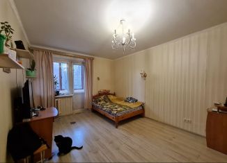 Продам 2-комнатную квартиру, 50 м2, Санкт-Петербург, Долгоозёрная улица, 1, Долгоозёрная улица