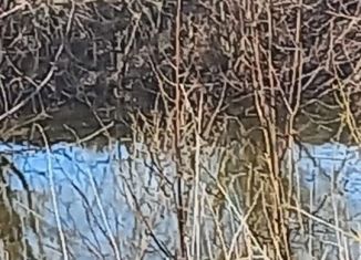 Продам дом, 30 м2, деревня Задние Карыки