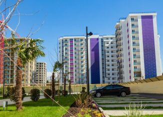 1-комнатная квартира на продажу, 312 м2, посёлок городского типа Сириус, ЖК Фрукты, улица Акаций, 34к3