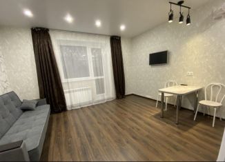 Квартира в аренду студия, 29 м2, Новосибирск, улица Лобачевского, 71, ЖК Начало Мая