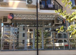 Продам помещение свободного назначения, 47 м2, Геленджик, Крымская улица, 22к1