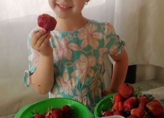 Продается дача, 20 м2, Соликамск, Урожайная улица