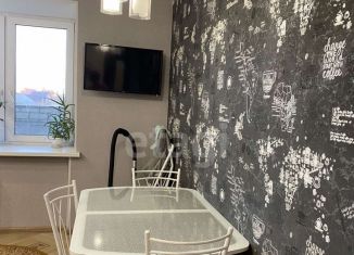 Продается 1-комнатная квартира, 38.7 м2, Тюмень, улица Избышева, 8, ЖК Нефтяник