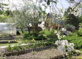 Дом на продажу, 35 м2, деревня Орёл, Строительная улица