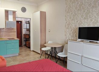 Квартира в аренду студия, 25 м2, Санкт-Петербург, Московский проспект, 183-185Ак3Б