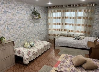 Продажа однокомнатной квартиры, 33.8 м2, Сортавала, Карельская улица, 73