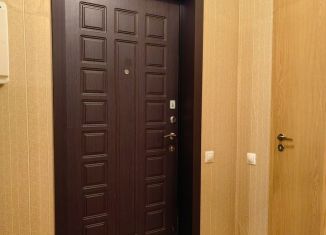 1-комнатная квартира в аренду, 31.3 м2, Мурино, проспект Авиаторов Балтики, 31, ЖК Цвета радуги