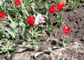 Продажа дачи, 20 м2, Саратов, Заводской район