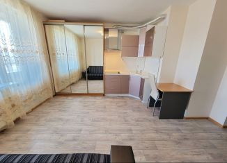 Сдается в аренду квартира студия, 25 м2, Мурино, проспект Авиаторов Балтики, 7, ЖК Виктория