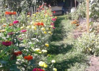 Продам дачу, 16 м2, СНТ Прогресс