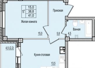 Продажа однокомнатной квартиры, 41 м2, Псков, улица Ижорского Батальона, 41