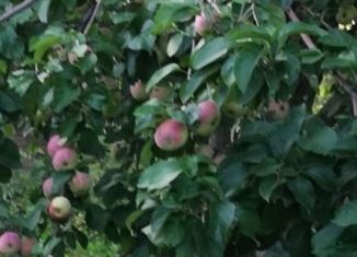 Дача на продажу, 20 м2, СНТ Бирюза, Овражная улица