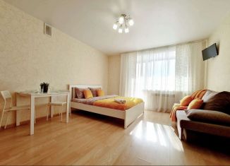 Квартира в аренду студия, 32 м2, Новосибирск, Лазурная улица, 30, метро Золотая Нива