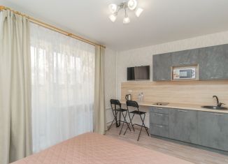 Квартира в аренду студия, 26 м2, Челябинская область, улица Доватора, 3
