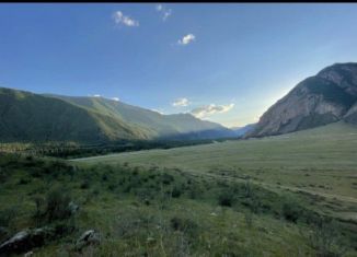 Продам участок, 2340 сот., село Чибит