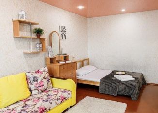 1-комнатная квартира в аренду, 32 м2, Кемеровская область, Спортивная улица, 20А