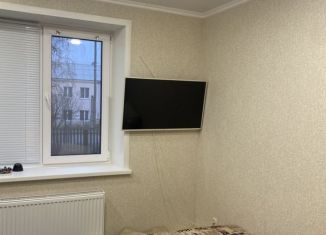 2-комнатная квартира на продажу, 40 м2, Никольск, улица Льва Толстого, 168А