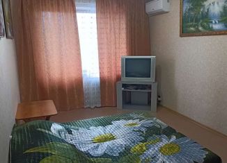 Сдам 1-комнатную квартиру, 40 м2, Самарская область, Гидротехническая улица, 5
