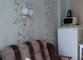 Сдается однокомнатная квартира, 17 м2, Старый Оскол, микрорайон Молодогвардеец, 1