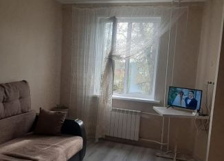 Сдам квартиру студию, 26 м2, деревня Бородино, Варшавское шоссе, 68