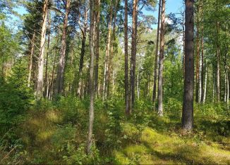 Продажа земельного участка, 27 сот., деревня Раздолье