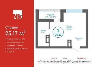 Продаю квартиру студию, 25.2 м2, деревня Патрушева