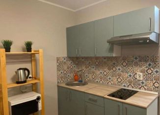 Продаю квартиру студию, 23.2 м2, посёлок Парголово, Толубеевский проезд, 8к2