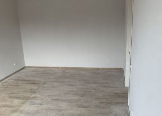 Продаю 1-комнатную квартиру, 41 м2, посёлок Солонцы, Кедровая улица, 13А