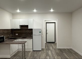 Продам квартиру студию, 29 м2, Мурино, ЖК Урбанист, Екатерининская улица, 17