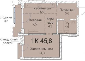 Продажа 1-комнатной квартиры, 45.8 м2, Новосибирск, Овражная улица, 2А, Заельцовский район