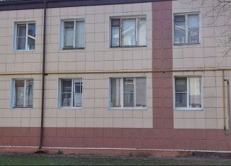 Продается 1-комнатная квартира, 30.2 м2, городской посёлок Дубровка, Школьная улица, 32