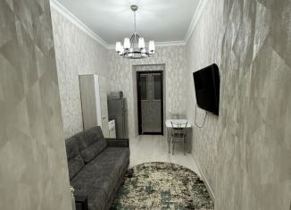 Квартира в аренду студия, 30 м2, Дагестан, улица Пугина, 10