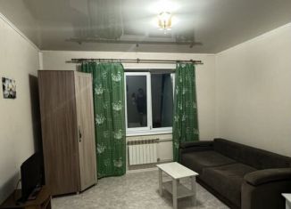 Сдается в аренду однокомнатная квартира, 28 м2, Томская область, Катунская улица, 40