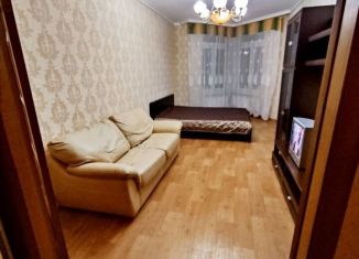 Сдается 1-комнатная квартира, 43 м2, Екатеринбург, Кузнечная улица, 83, метро Динамо
