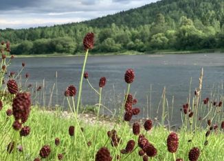 Сдам дом, 80 м2, поселок Усть-Койва, Лесная улица, 22А