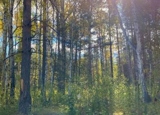 Продается участок, 12 сот., Чусовой, Рябиновая улица