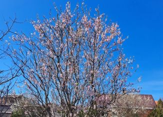 Продам земельный участок, 4 сот., СНТ Медик, Солнечная улица