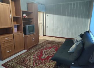 Аренда 2-комнатной квартиры, 42.5 м2, Краснотурьинск, Молодёжная улица