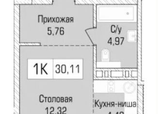 Продаю квартиру студию, 30.1 м2, Новосибирская область
