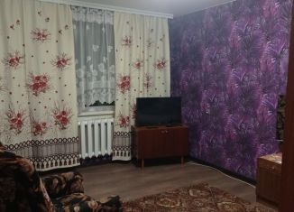 Сдаю в аренду 1-комнатную квартиру, 29 м2, Новосибирская область, улица Мира, 5