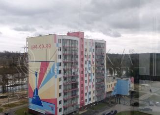 1-ком. квартира на продажу, 54.4 м2, Ленинградская область, Севастопольская улица, 2к4