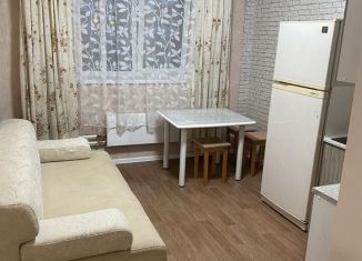 Сдается 1-комнатная квартира, 36.3 м2, Иркутская область, микрорайон Берёзовый, 165