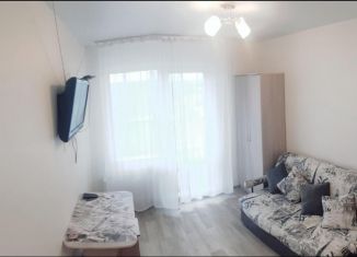 Сдам в аренду квартиру студию, 23 м2, Новосибирская область, Заречная улица, 57