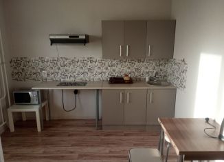 Сдается 1-ком. квартира, 30 м2, Ростов-на-Дону, Художественная улица, 22/17, ЖК Платовский