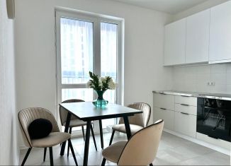 2-ком. квартира в аренду, 60 м2, Москва, Сиреневый бульвар, 33, ВАО