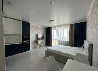 Сдам в аренду квартиру студию, 35 м2, Оренбург, Пролетарская улица, 300