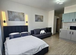 Сдача в аренду квартиры студии, 32 м2, Екатеринбург, улица Фрунзе, 31