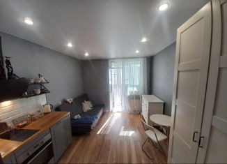 Продажа квартиры студии, 20.2 м2, Мурино, улица Шувалова, 15, ЖК Краски Лета