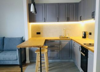Сдача в аренду квартиры студии, 26.5 м2, посёлок Парголово, Заречная улица, 13к4